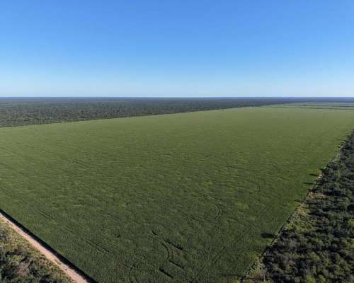 Las Tinajas, Moreno, Santiago del Estero - 2.123 Ha
