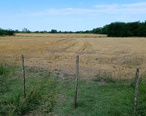 Campo 27 Ha Rosario del Tala Soja Trigo Sorgo