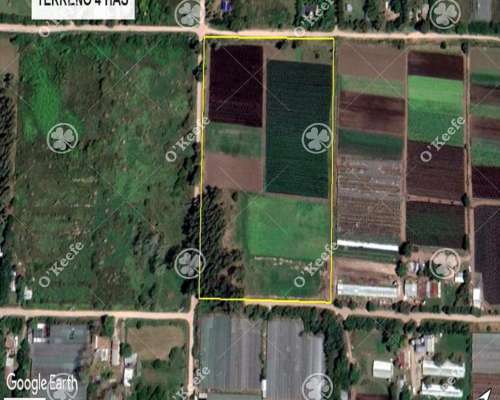 4 Has para Desarrollo en Berazategui Calle 517