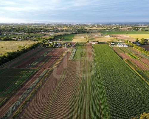 Terreno de 8 Ha Zona Sur, Córdoba