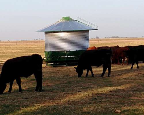 Silo Autoconsumo Industria Menonita