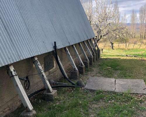 Venta Campo Telsen Chubut 4600 Hectáreas