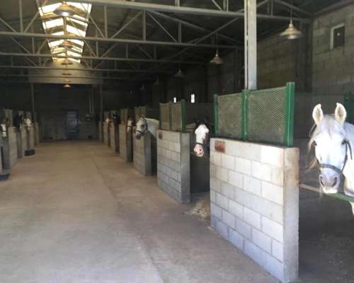 Matrimonio para Cuidado de Predio y Ayuda Domestica