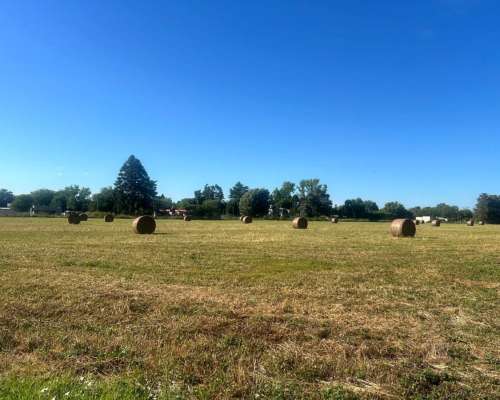 Campo en San Antonio de Areco