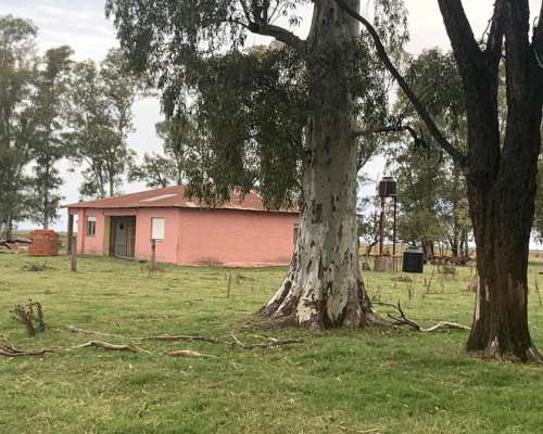 Campo Mixto 32 Hectáreas con Casco Roque Pérez