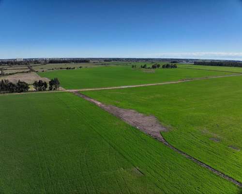 Tres Arroyos, Buenos Aires - 120 Ha