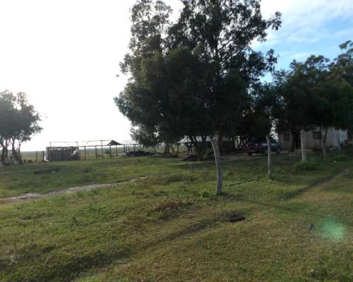 Vendo Campo 5000 Hectáreas en San Roque Corrientes