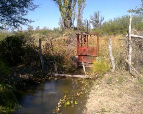 Terreno 44has en la Paz- Mendoza. en Ruta Nacional Nº 7.