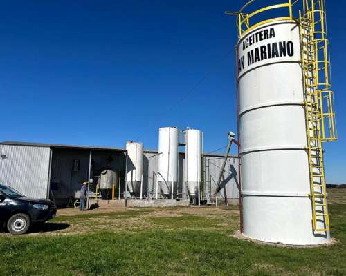 Planta para Aceitera (soja o Girasol)