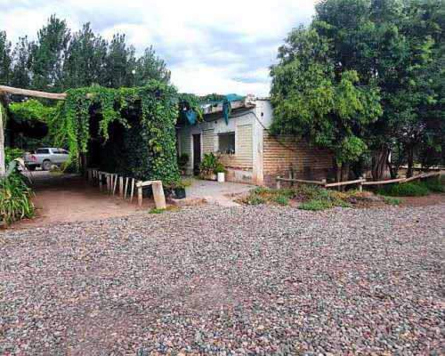 Finca Productiva en Venta 25 HA– Colonia los Álamos, Maipú