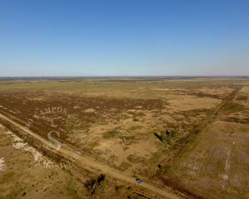 Campo Mixto. 137 HA. Providencia, Santa FE