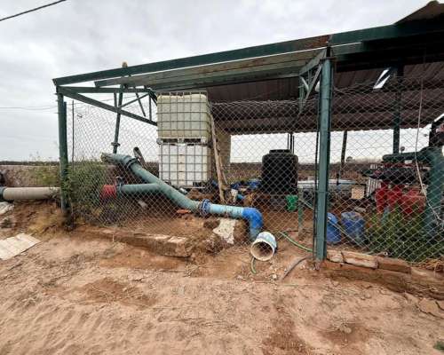 74 Has Carril Chimbas Pozo Nuevo, Goteo y Tela Antigranizo