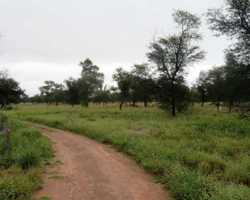 La Estrella - 2755 Ha - Salta