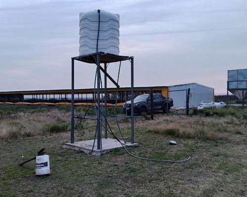 Galpon Gallinas Ponedoras + Campo. 10h Gualeguay, Entre Rios