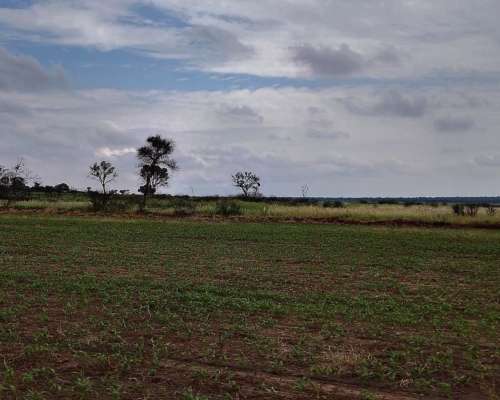 Excelente Campo Agrícola en Santiago del Estero