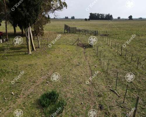 Campo en Venta 57 Has en Veronica