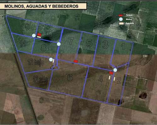 Campo Ganadero Piamonte -santa FE