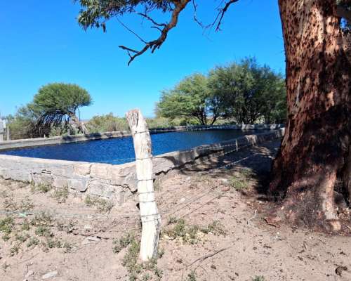 Campo Ganadero Pampas Blancas, en la Rioja, 11500 Has
