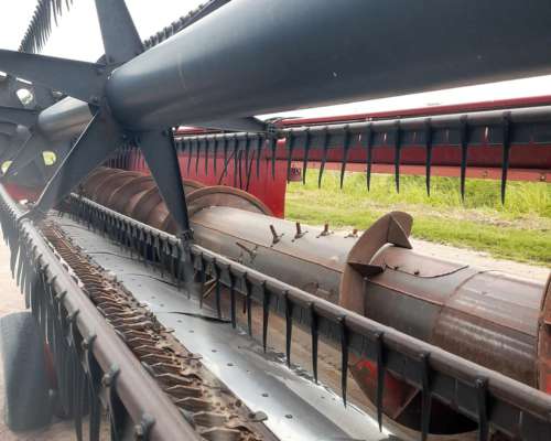 Vassalli 1550, Plataforma 30 Pies