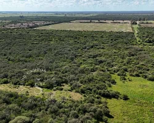 Ambrosetti, Santa FE. Venta 72 HA. Campo Mixto.