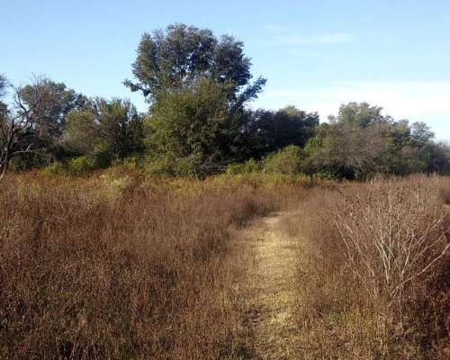 Campo Mixto Agricola - Ganadero - Santiago del Estero 35%off