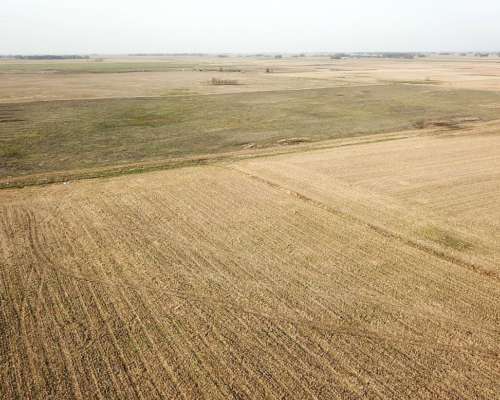 San Enrique 137 Ha 25 de Mayo BS. AS.