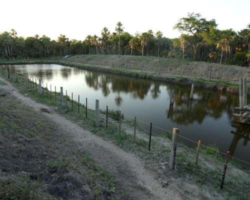 1000 Hectáreas en Laguna Gallo Formosa
