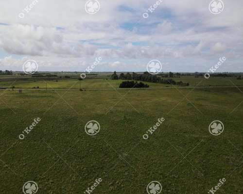 Campo en Venta de 450 Has en Magdalena. Mixto