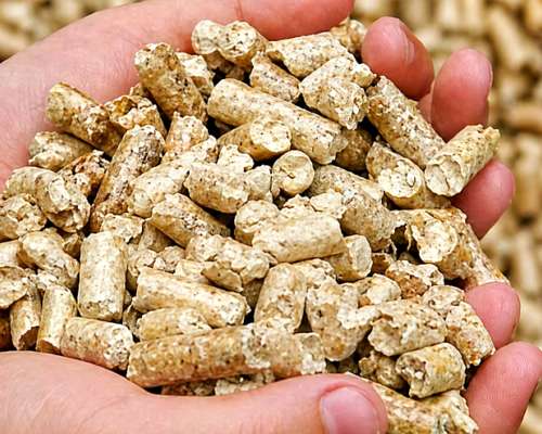 Pellet de Cáscara de Soja - Lasna Insumos - MÍN 28 TN
