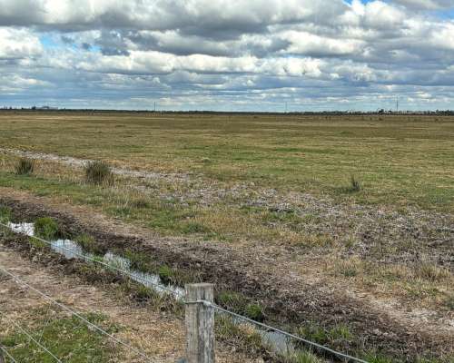 Campo de Cría en Bahía Blanca