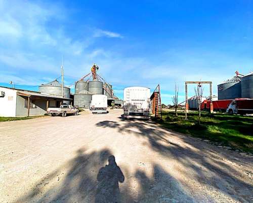 Venta Planta de Silos en Coronel Dorrego