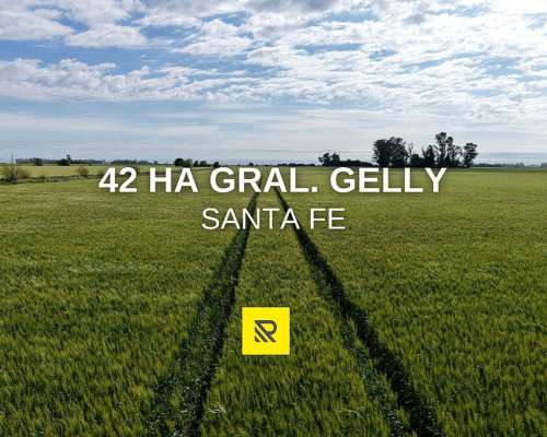 42 Ha Gral. Gelly