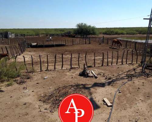 En Venta 30.000 HA. Algarrobo del Águila, la Pampa