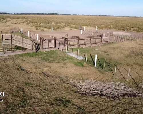 Alquilo 1.482 Ganaderas en Departamento San Martin.