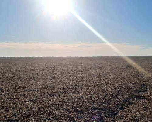 Vendo 5000 Ha Agrícolas Bandera