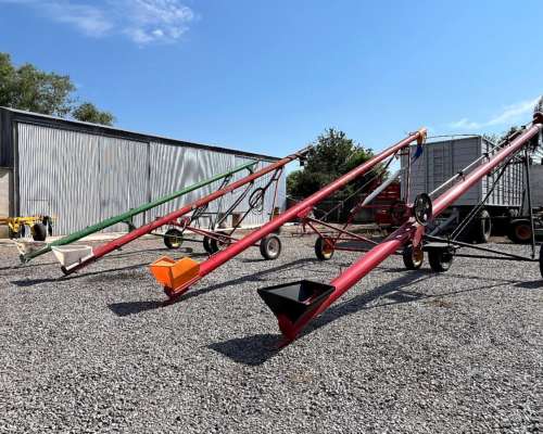 Chimango con Motor a Explosión