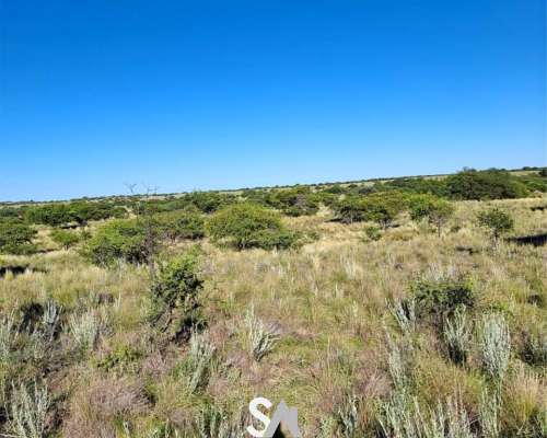 Vende: Campo Ganadero de 1.650 Hectáreas. Carro Quemado