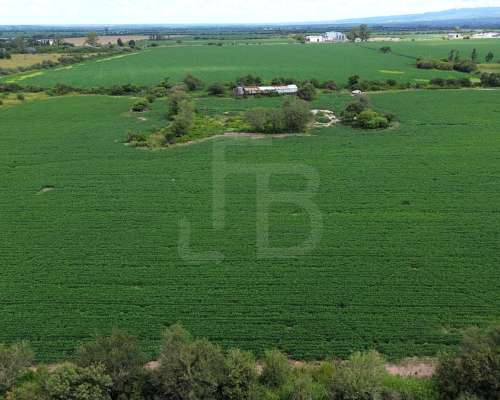 Campo de 8,5 Ha en Alta Gracia, a 700 M de la Autovía