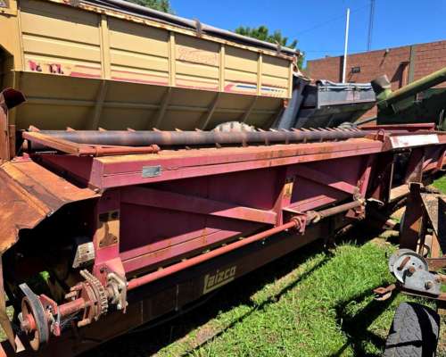 Girasolera Maizco de 12 a 70 cm