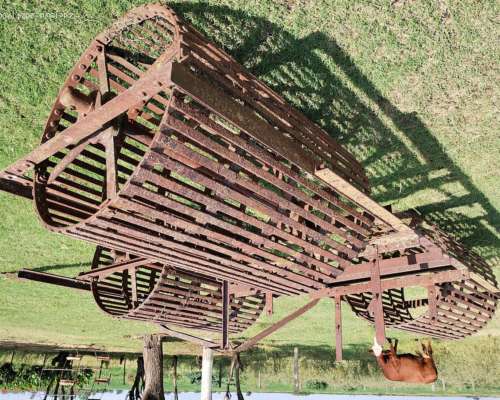 Toro Angus Colorado Vendo o Permuto