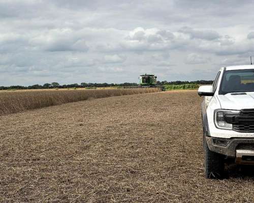 Importante Empresa Busca Arrendamiento de Campo en Tucumán