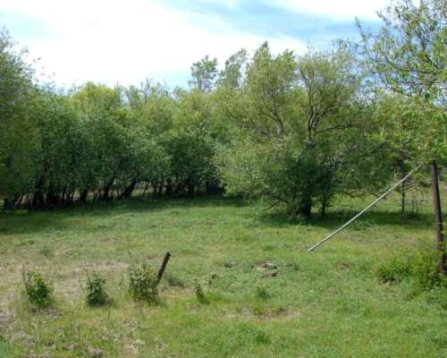 Estancia 26.000 Ha Santa Cruz Zona Perito Moreno