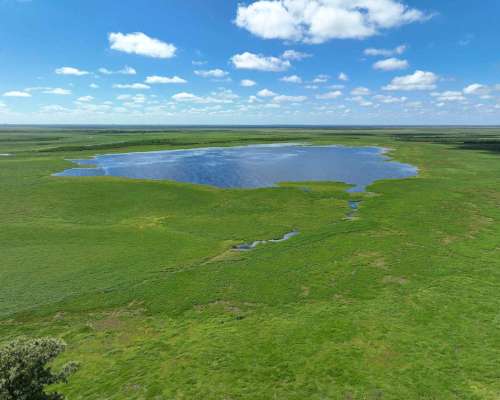 Pcia. de Corrientes - Malvinas 10808 Has