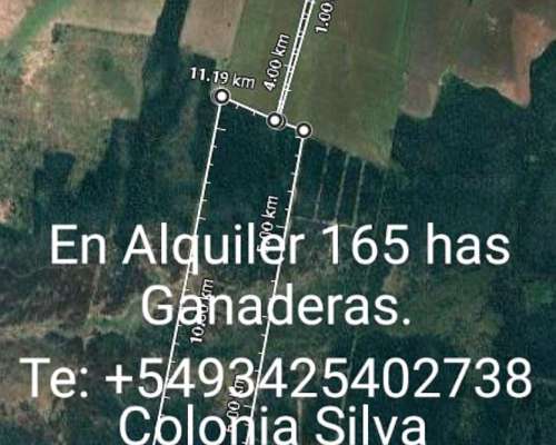 Alquiler 165 Has en Colonia Silva Depto San Justo STA FE