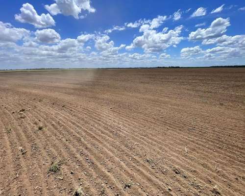 Totoras, Iriondo, Santa FE - 160 Ha