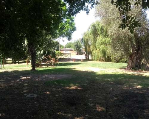 Hermoso Campo de 5,6ha en la Violeta (partido de Pergamino)