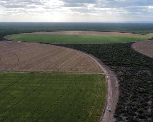 Exc. Campo Agrícola con Riego Pivot, los Cerrillos, San Luis