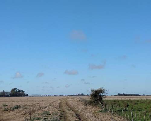 470 Ha Ganadero Chascomus