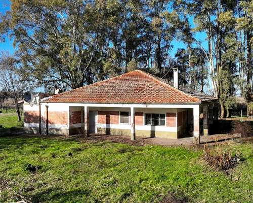 Pcia. de Buenos Aires - Gorch 860 Ha