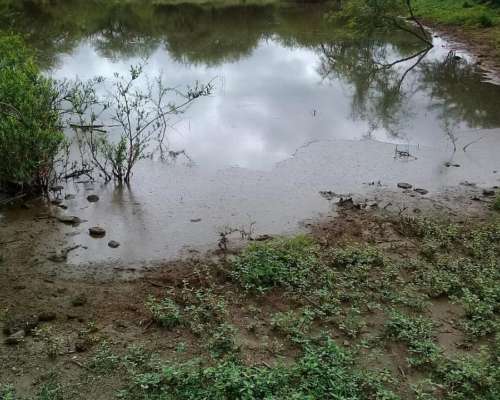 Vendo Campo Establecimiento Don Angel